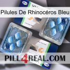 Pilules De Rhinocéros Bleu viagra5